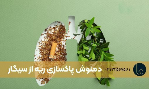 دمنوش پاکسازی ریه از سیگار | معرفی 8 دمنوش برای پاکسازی ریه از سیگار