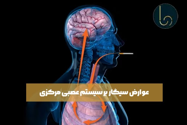 عوارض سیگار بر سیستم عصبی مرکزی
