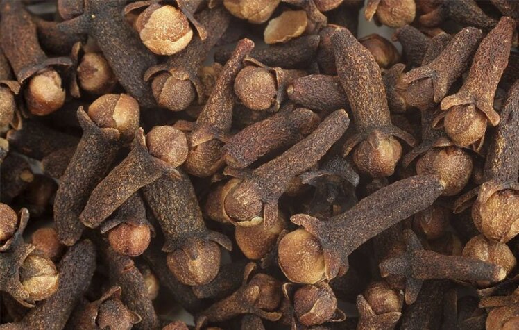 آیا میخک برای ترک سیگار مفید است؟